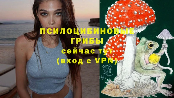 СК Заволжск