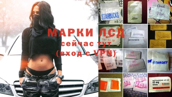 spice Заводоуковск