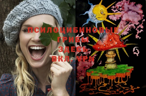 spice Заводоуковск