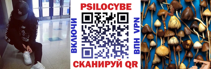 Псилоцибиновые грибы Cubensis  Купить закладки  Знаменск 